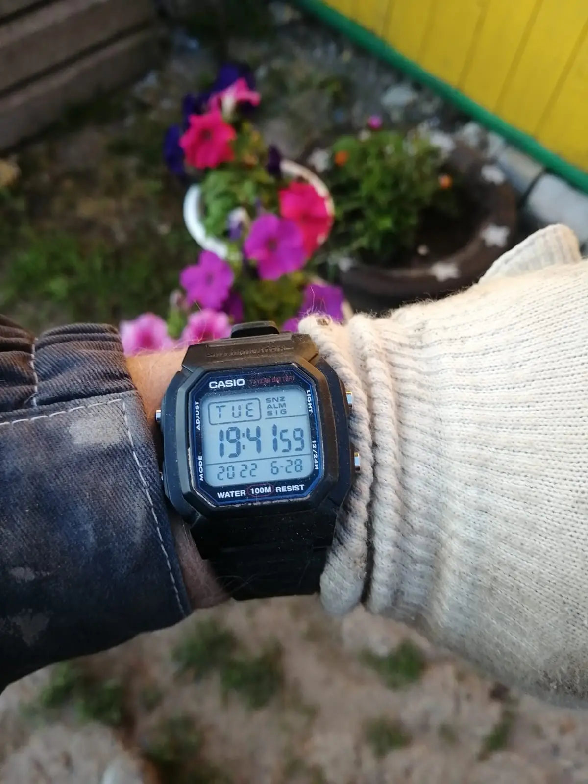 Часы Casio Collection W-800H-1A купить в Оренбурге по цене 3962 RUB:  описание, характеристики