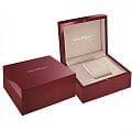 Оригинальные часы Salvatore Ferragamo Salvatore Ferragamo chic SFYD00221 кварцевые калибр механизма  общий вид