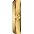 Оригинальные часы Tissot Tissot PR 100 T150.210.33.021.00 кварцевые калибр механизма  общий вид